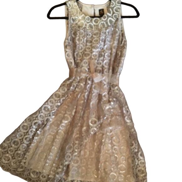 Anthropologie Dresses & Skirts - NWT Anthropologie Y2K Party Special Occasion Silver & Gold Lace Dress  Size 4